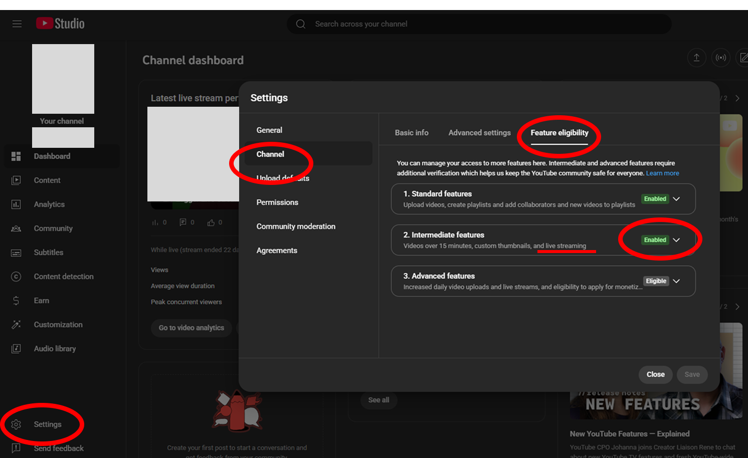 YT Feature eligibility.png
